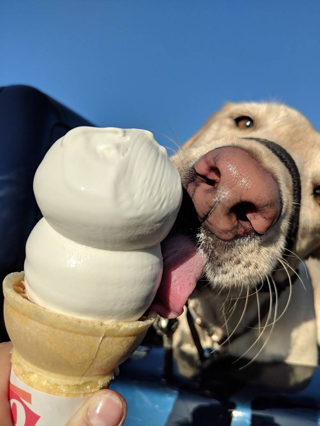 Dairy Queen Grill & Chill | restaurant | 404 W 1st St, Newberg, OR 97132, USA | 5035386112 OR +1 503-538-6112