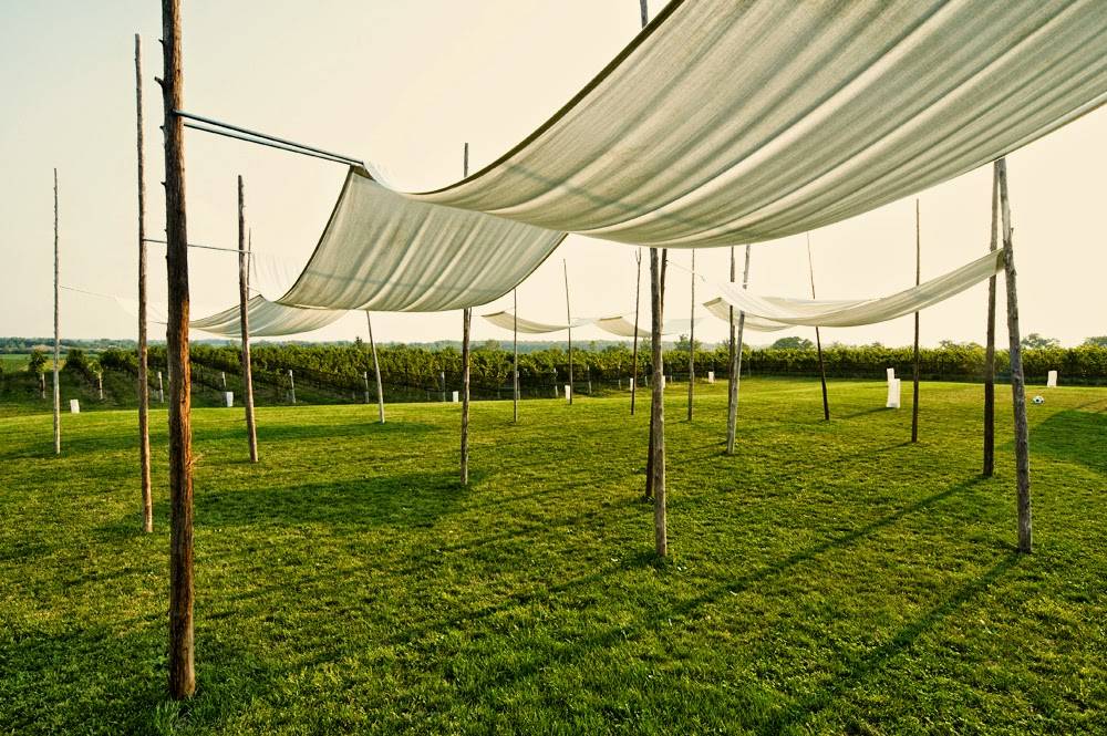 Ravine Vineyard Estate Winery | restaurant | 1366 York Rd, St. Davids, ON L0S 1P0, Canada | 9052628463 OR +1 905-262-8463