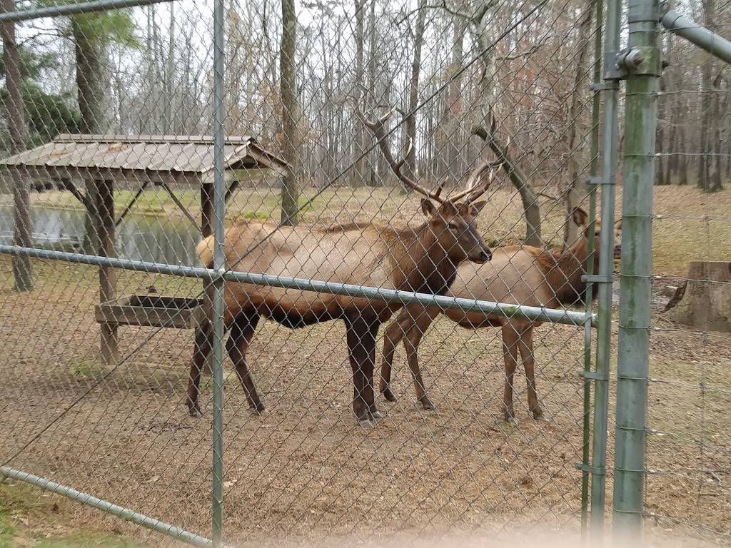 Bama Bucks | restaurant | 292 Bryant Rd, Sardis City, AL 35956, USA | 2562819234 OR +1 256-281-9234