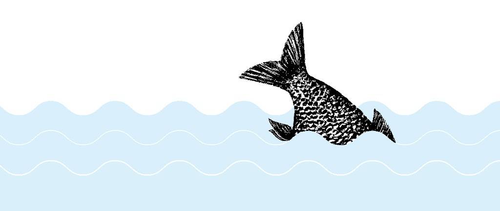 East Anchor Seafood | restaurant | 1126 34th Ave #101, Seattle, WA 98122, USA | 2067086669 OR +1 206-708-6669