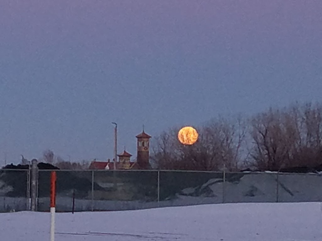 Hammer Inn | restaurant | 1208 State St, Green Bay, WI 54304, USA | 9204326699 OR +1 920-432-6699