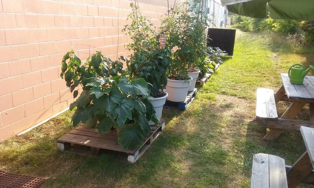 Great Lakes Sandwich Co & Cafe (deli, BBQ, Winery, Wine Bar, fi | restaurant | 5332 Corunna Rd, Flint, MI 48532, USA | 8107328490 OR +1 810-732-8490