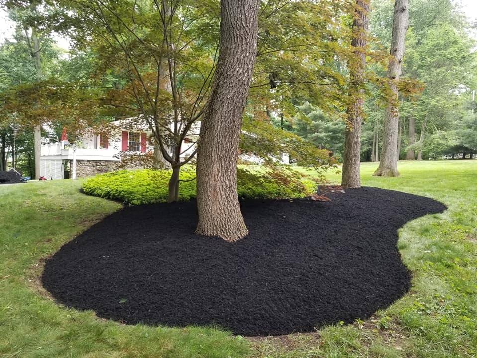 Luis landscaping | restaurant | 323 Lindley Ave, Philadelphia, PA 19120, USA | 2159004099 OR +1 215-900-4099