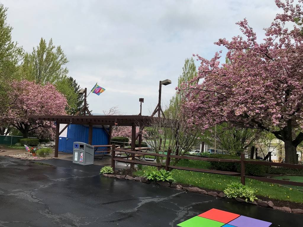 Valley Scoops and More | restaurant | 683 PA-93, Sugarloaf, PA 18249, USA | 5707881883 OR +1 570-788-1883