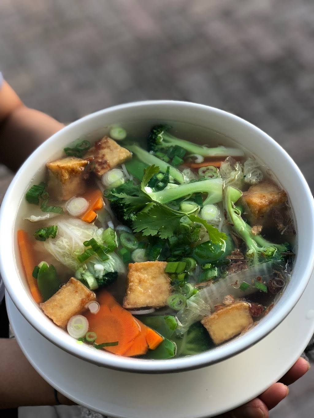 Pho Company Noodle House | restaurant | 111 N Woodland Blvd, DeLand, FL 32720, USA | 3866247623 OR +1 386-624-7623