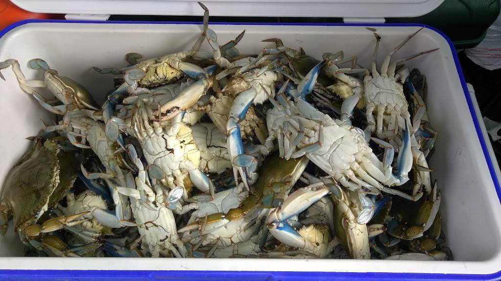 American Crab Co | restaurant | 2461 Route 1, Feasterville-Trevose, PA 19053, USA | 2152453222 OR +1 215-245-3222