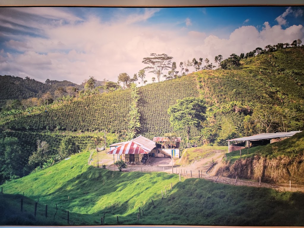 Starbucks | cafe | 2415 W Baseline Rd, Tempe, AZ 85283, USA | 4808669513 OR +1 480-866-9513