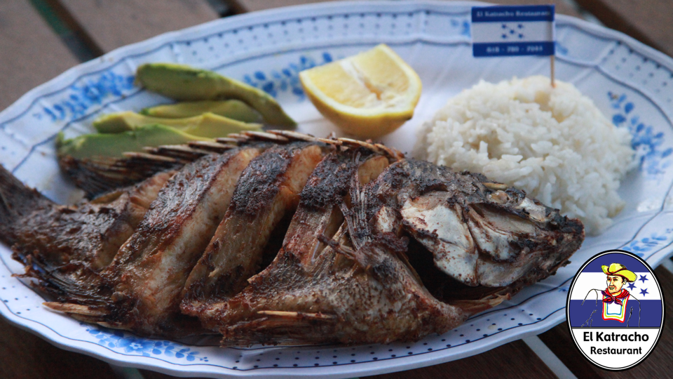 El Katracho Restaurant | restaurant | 14838 Burbank Blvd, Sherman Oaks, CA 91411, USA | 8187807044 OR +1 818-780-7044