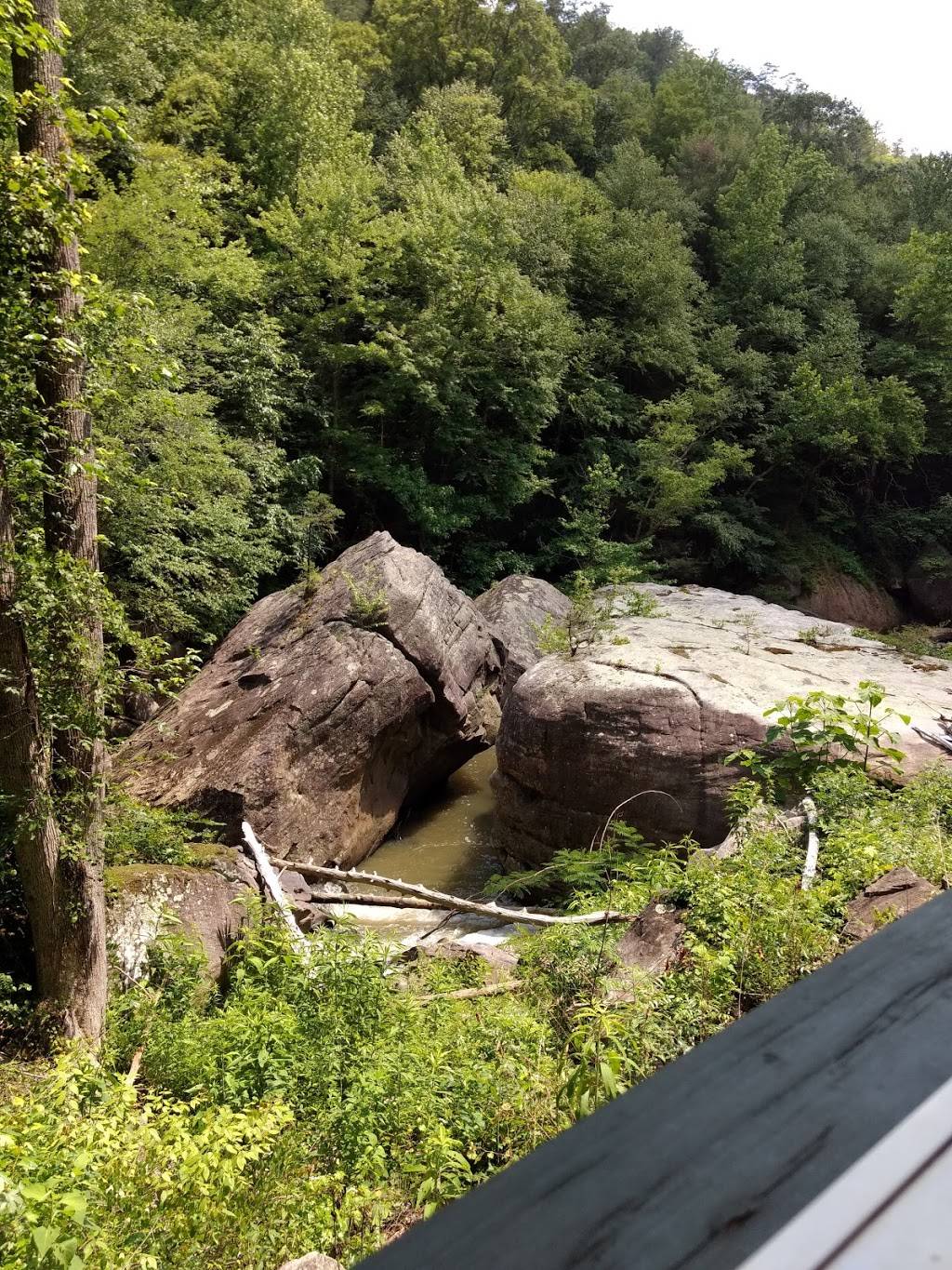 Big South Fork Scenic Railway | restaurant | 66 Henderson St, Stearns, KY 42647, USA | 8004625664 OR +1 800-462-5664