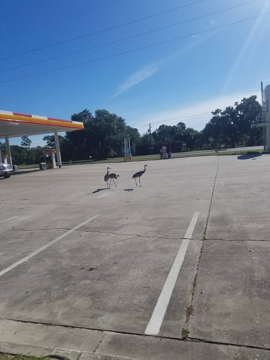 Kangaroo Express | meal takeaway | 6004 US-1, Mims, FL 32754, USA | 3212682159 OR +1 321-268-2159