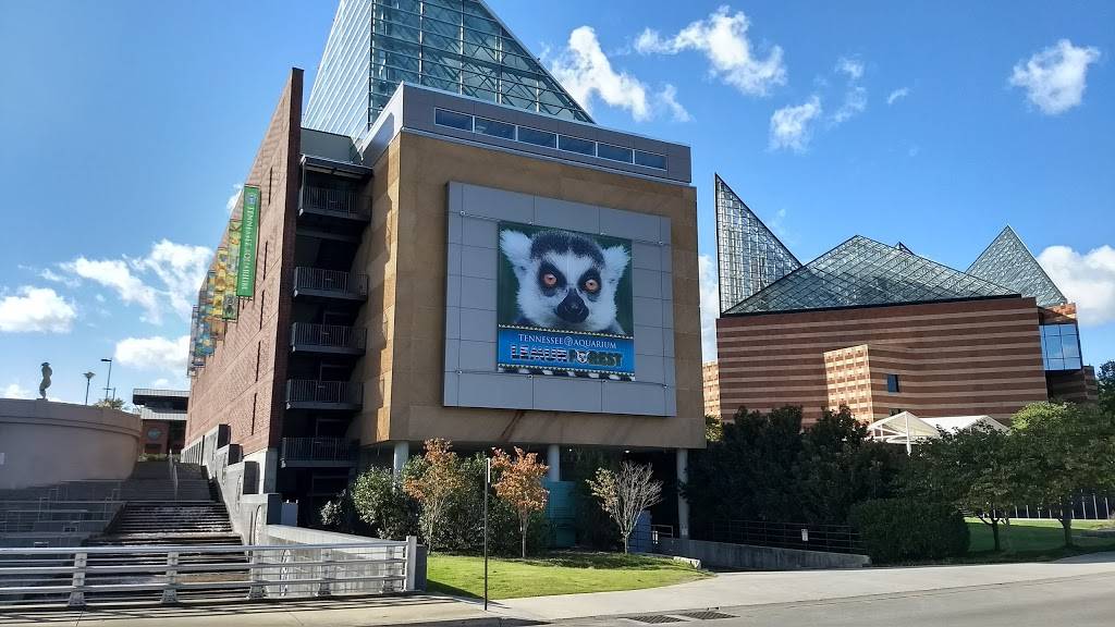 Leapin Leprechuan | restaurant | 101 Market St, Chattanooga, TN 37402, USA | 4237779097 OR +1 423-777-9097