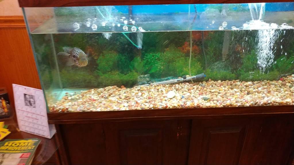 King Wok Restaurant | restaurant | 13631 Philmont Ave, Philadelphia, PA 19116, USA | 2155529883 OR +1 215-552-9883