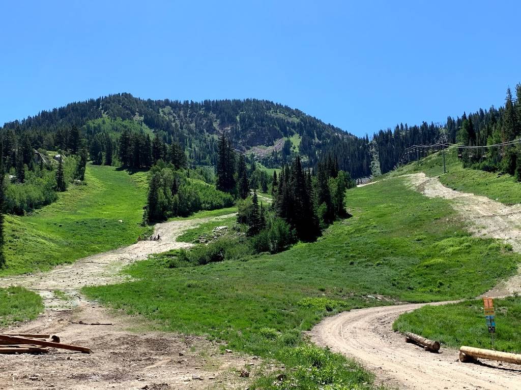 Creekside Cafe and Grill | cafe | 8880 Gad Valley Dr, Snowbird, UT 84092, USA | 8019332222 OR +1 801-933-2222