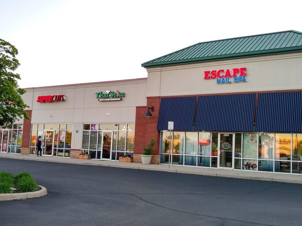 Thai Spice | restaurant | 5153 Bowen Dr, Mason, OH 45040, USA | 5132718424 OR +1 513-271-8424