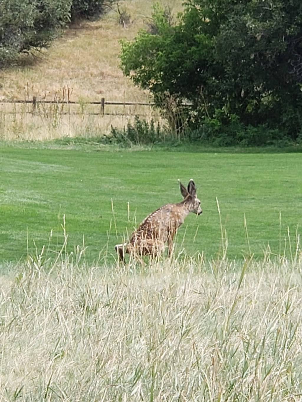 On the Rocks Bar & Grill at Arrowhead Golf Club | restaurant | 10850 Sundown Trail, Littleton, CO 80125, USA | 3039739614 OR +1 303-973-9614