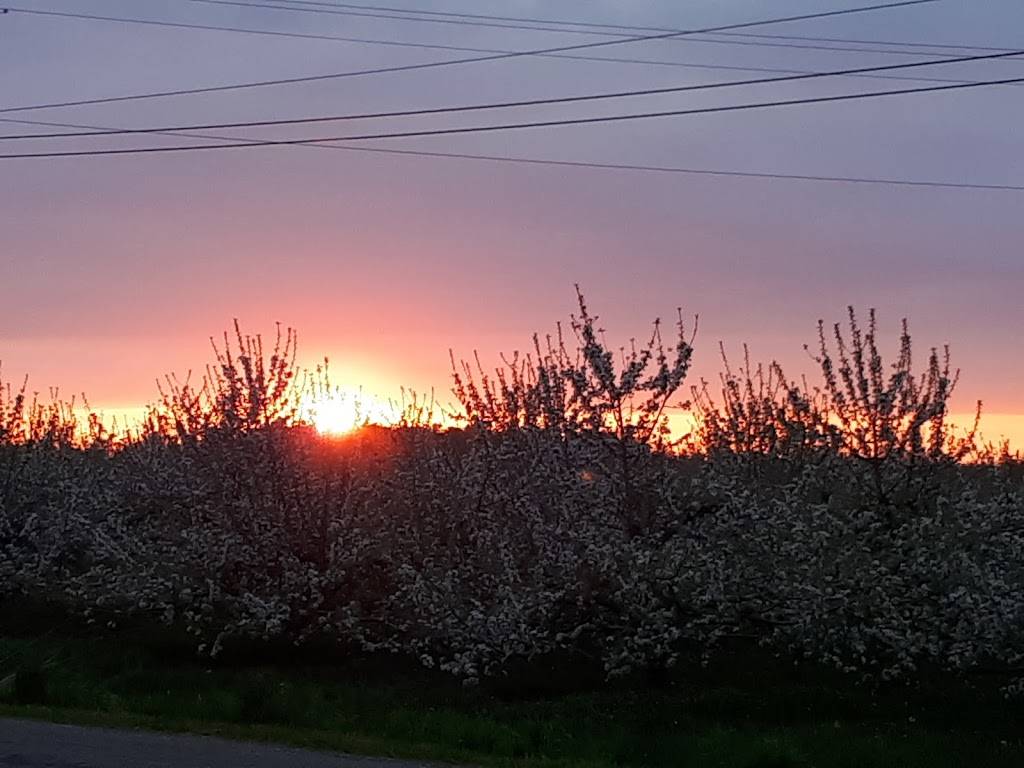 Norfolk Golf & Country Club | restaurant | 200 Argyle St, Simcoe, ON N3Y 1V9, Canada | 5194261300 OR +1 519-426-1300