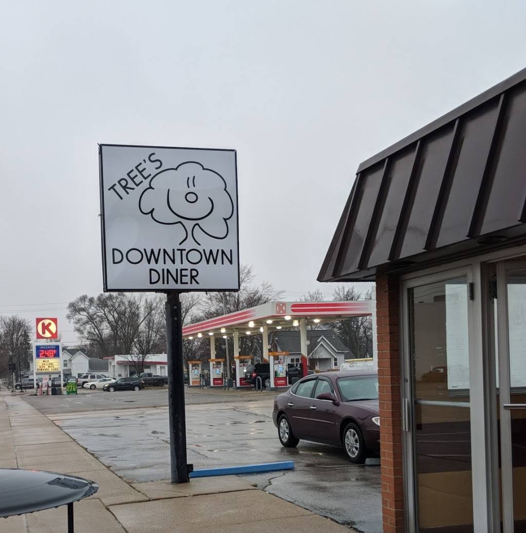 Trees Downtown Diner | restaurant | 224 N Fulton St, Wauseon, OH 43567, USA | 4193355001 OR +1 419-335-5001