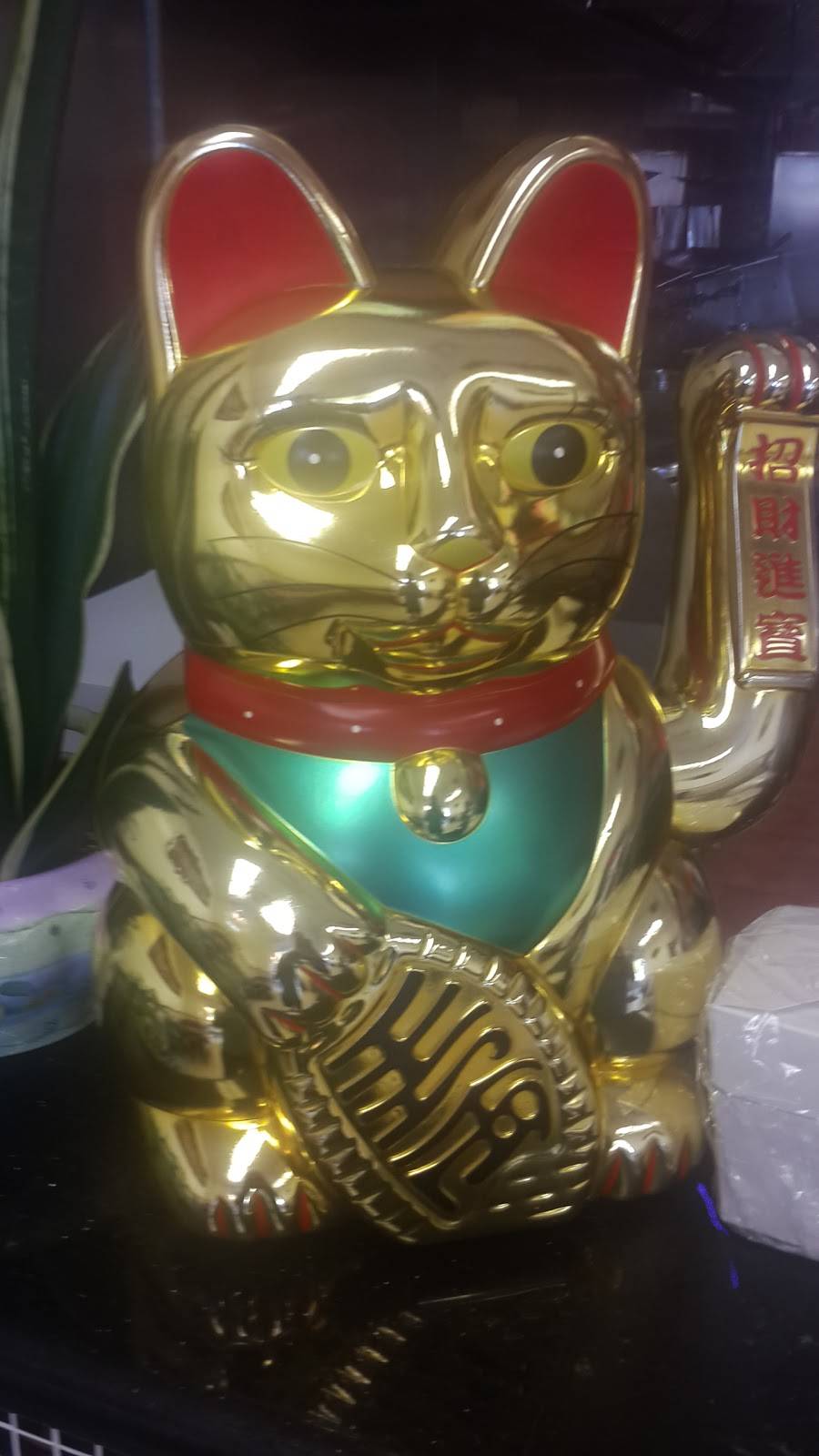 China King | restaurant | 4100 N Wickham Rd, Melbourne, FL 32935, USA | 3212552888 OR +1 321-255-2888