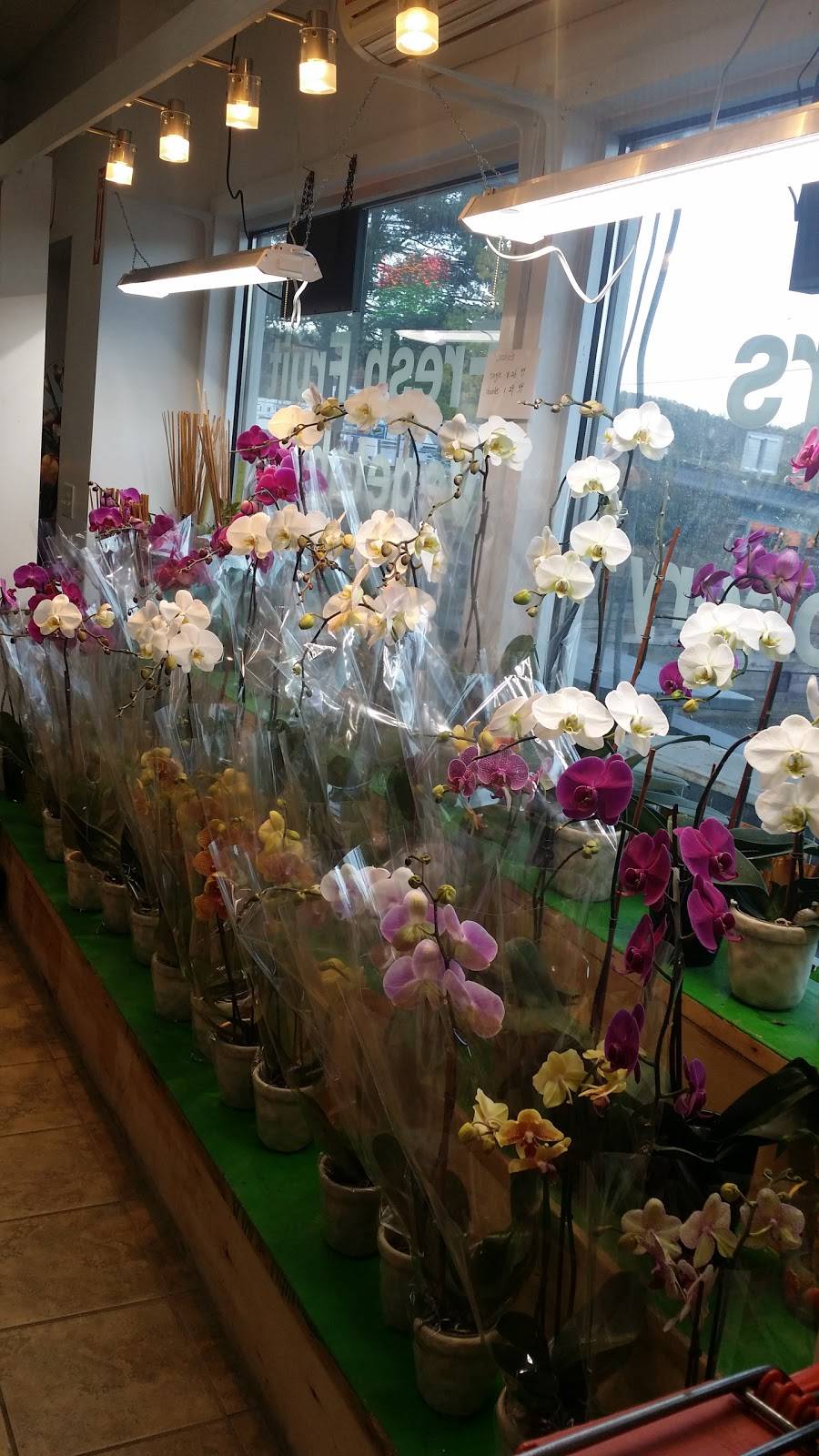 Liberty Farm Plus, Inc. | meal takeaway | 178 Mill St, Liberty, NY 12754, USA | 8452921500 OR +1 845-292-1500