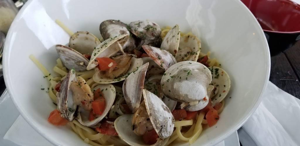 Waydowntown Restaurant | restaurant | 265 Commercial St, Provincetown, MA 02657, USA | 5084878800 OR +1 508-487-8800