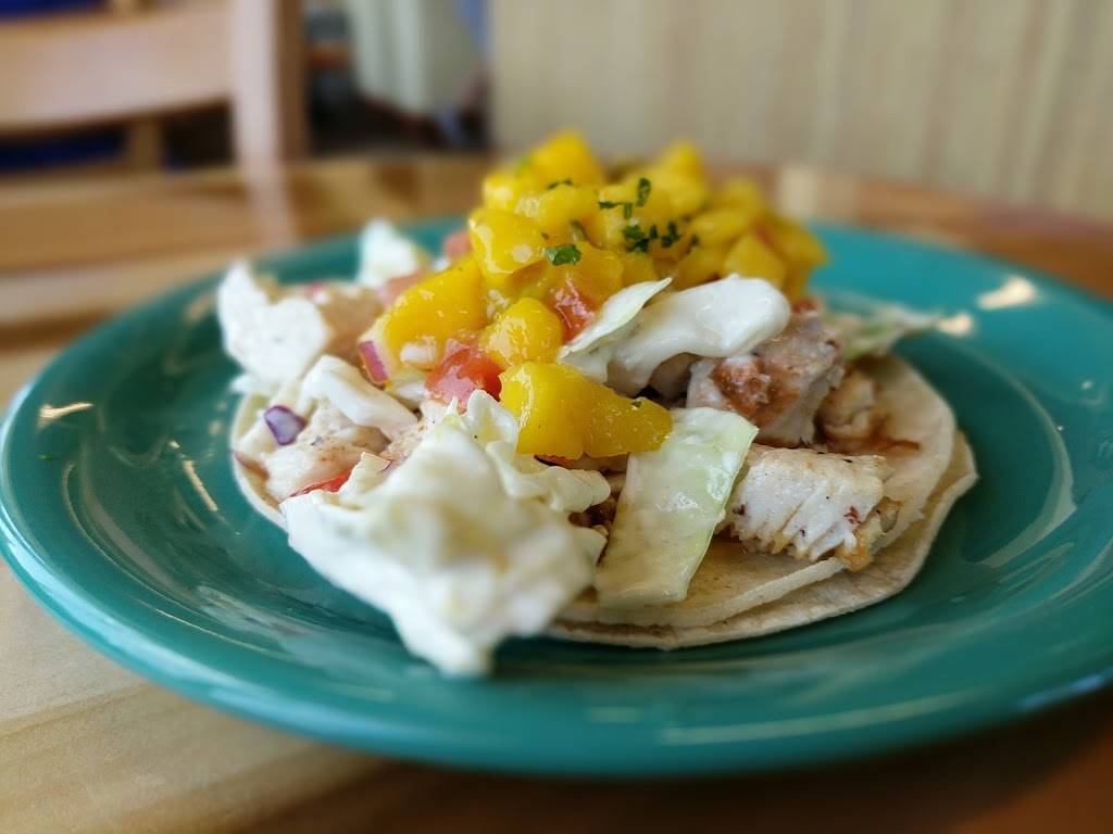 Coconuts Fish Cafe | restaurant | 20010 Stevens Creek Blvd, Cupertino, CA 95014, USA | 4082169553 OR +1 408-216-9553