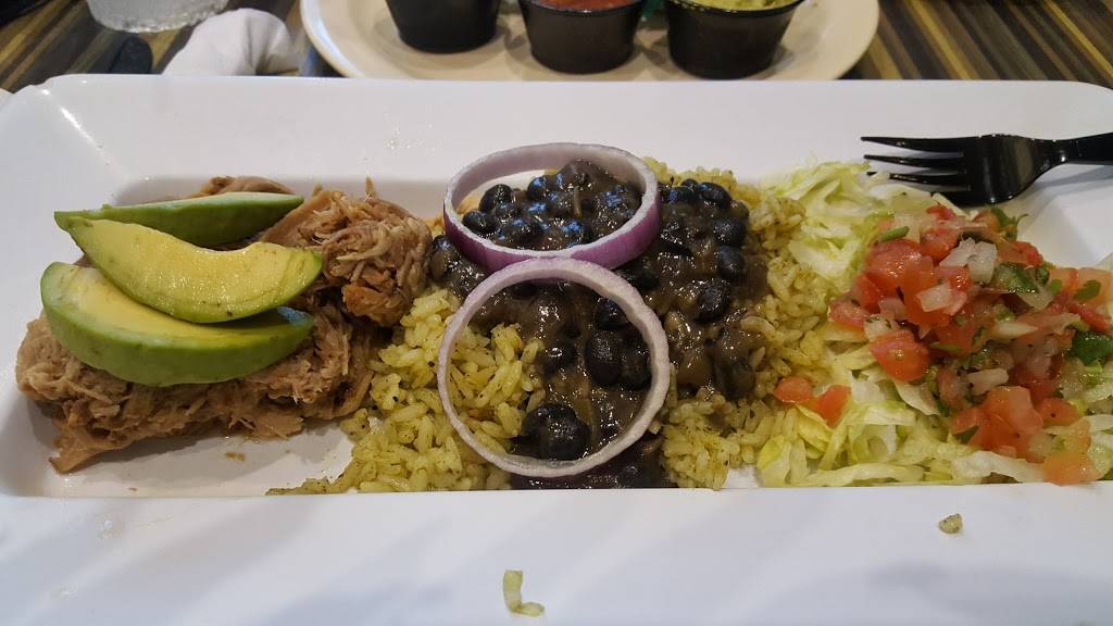 Green Iguana Bar & Grill | restaurant | 4029 S West Shore Blvd, Tampa, FL 33611, USA | 8138371234 OR +1 813-837-1234