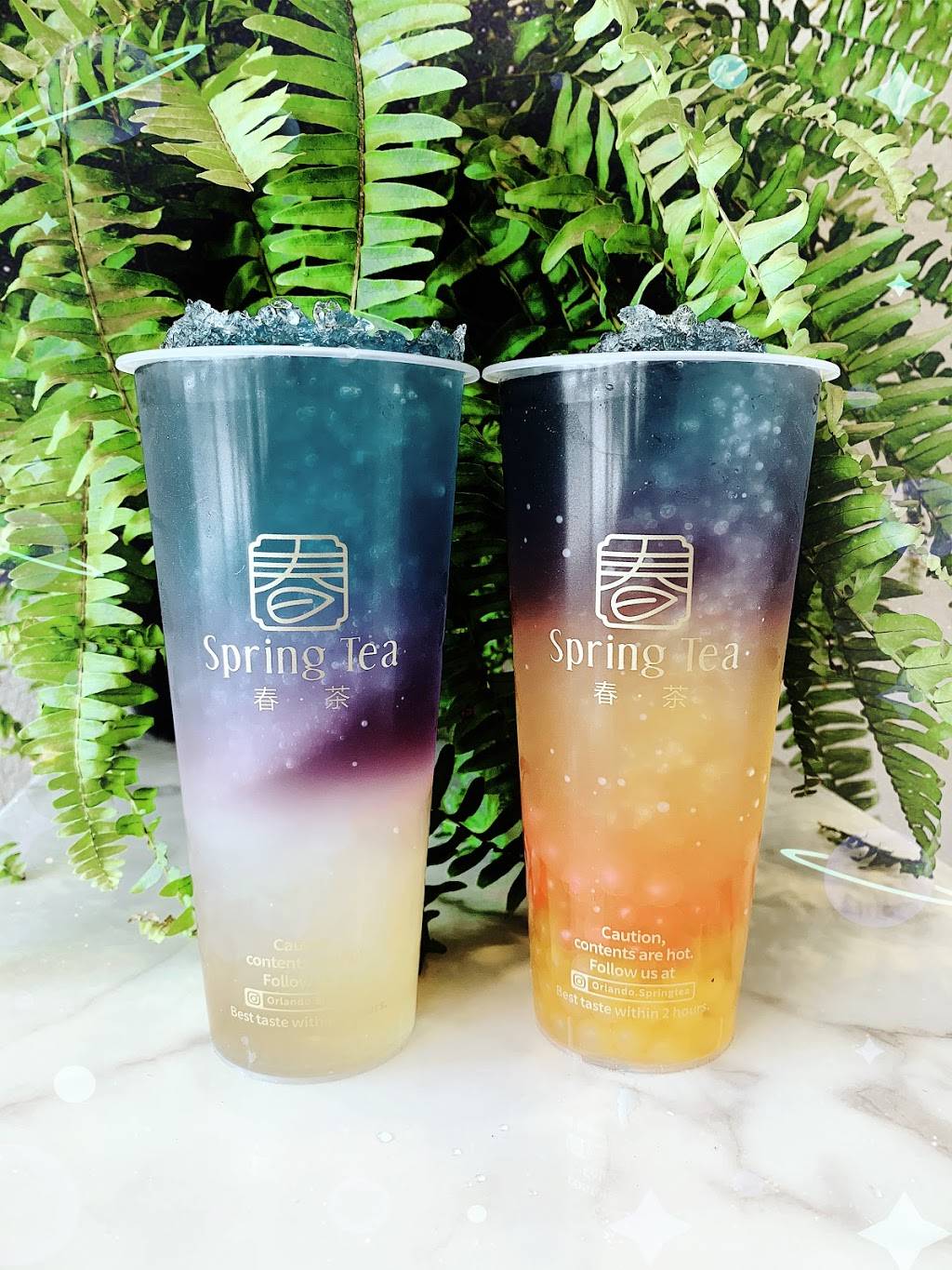 SpringTea | cafe | 8457 S John Young Pkwy, Orlando, FL 32819, USA | 4074135335 OR +1 407-413-5335