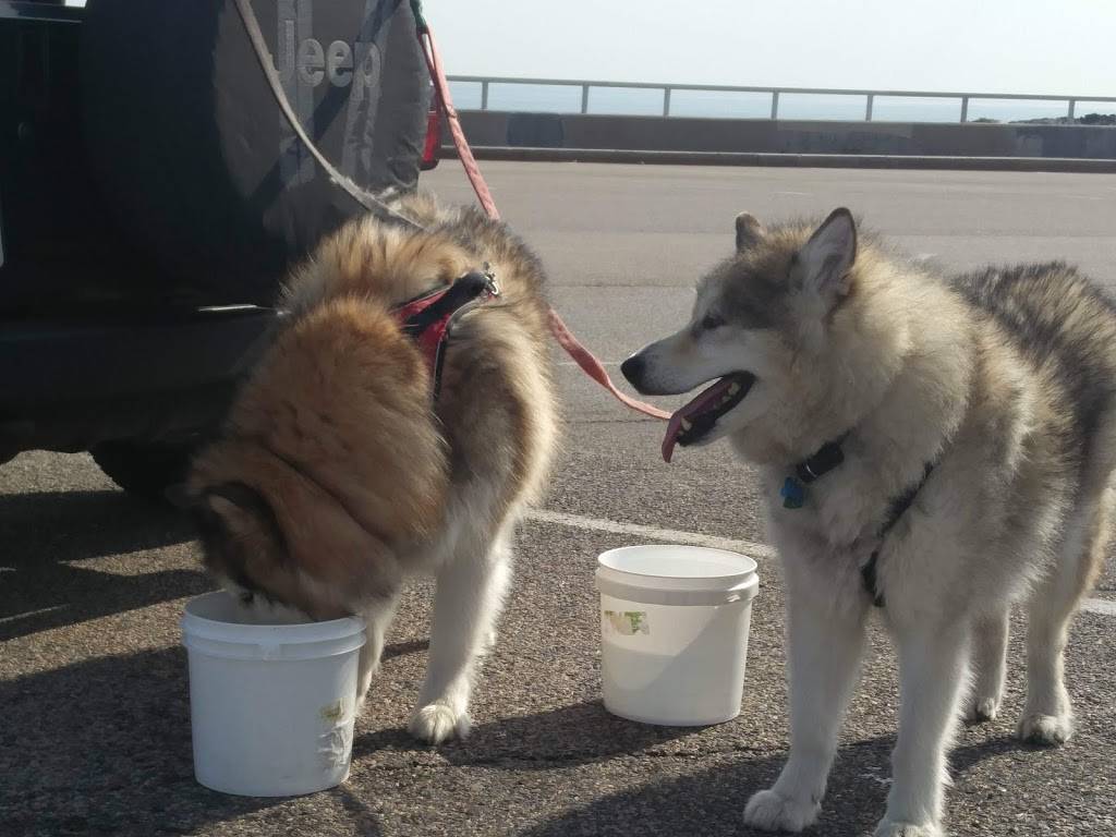 Schooners | restaurant | 157 Nantasket Ave, Hull, MA 02045, USA | 7819255200 OR +1 781-925-5200