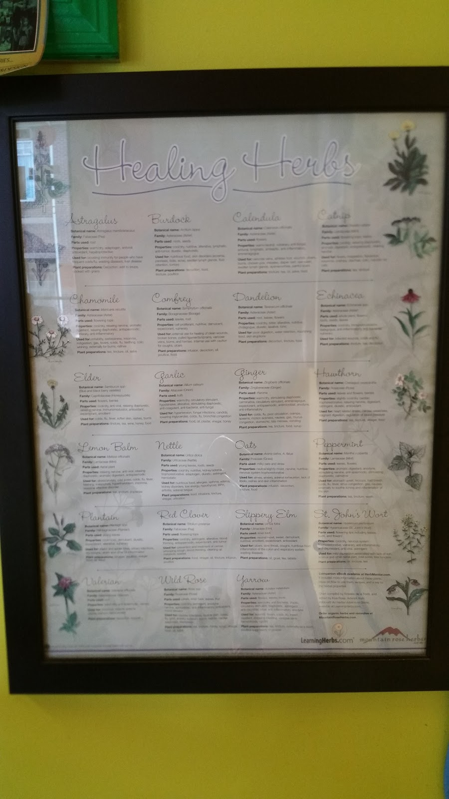 Zizis Vegan at Berry Brook | restaurant | 1257 East Blvd, Charlotte, NC 28203, USA | 7045959170 OR +1 704-595-9170