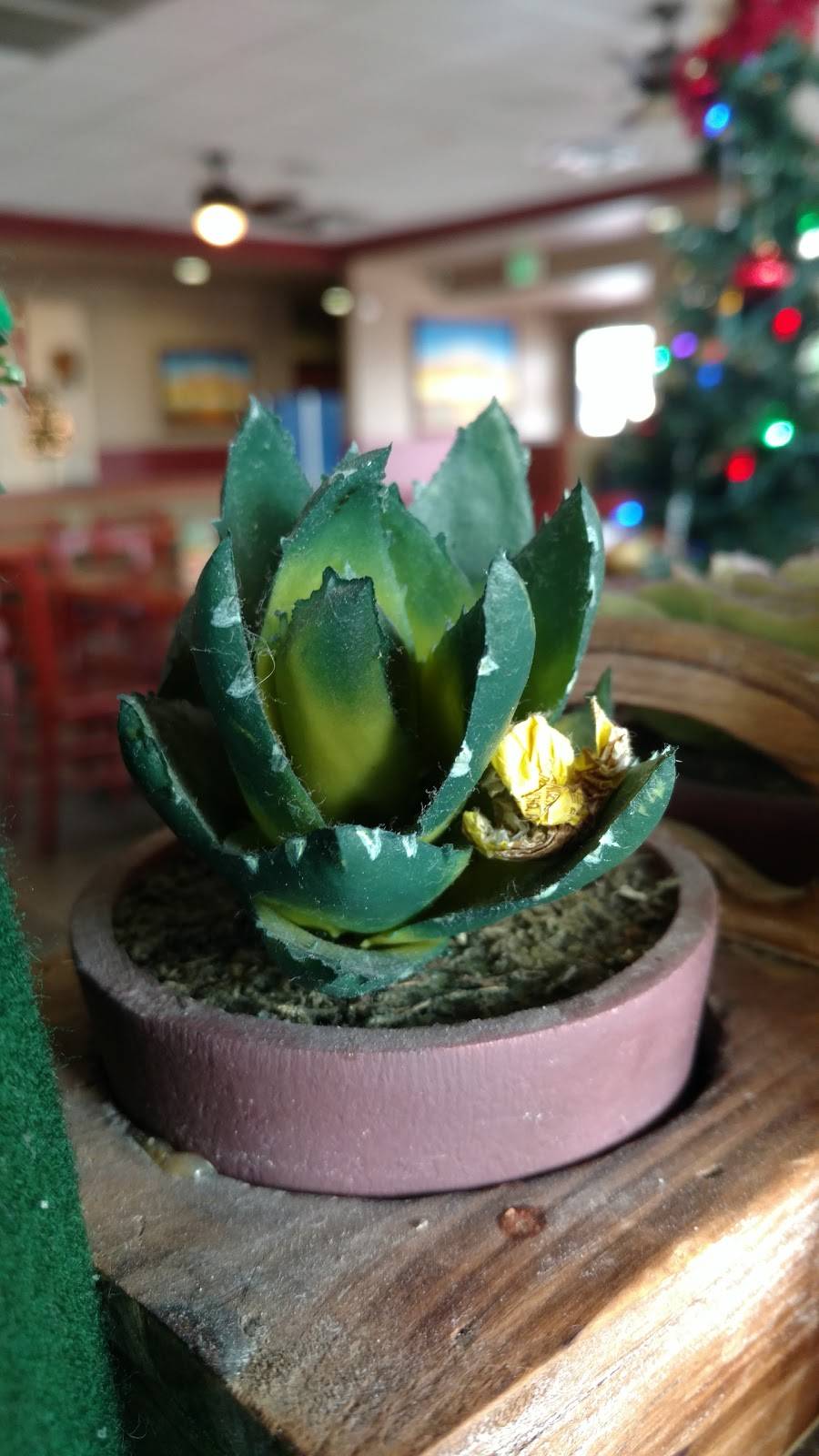 Cucas Mexican Food | restaurant | 34380 Yucaipa Blvd, Yucaipa, CA 92399, USA | 9097909750 OR +1 909-790-9750