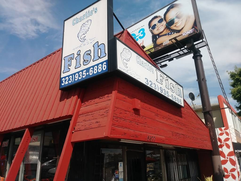 Charlies Fish & Chip | restaurant | 5677 Pico Blvd #7, Los Angeles, CA 90019, USA | 3239356886 OR +1 323-935-6886