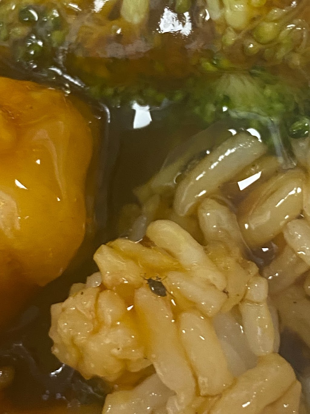 Panda Chinese Restaurant | restaurant | 1326 MacDade Boulevard, Woodlyn, PA 19094, USA | 6108335851 OR +1 610-833-5851