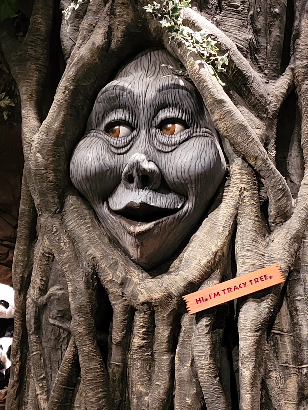 Rainforest Cafe | restaurant | 1800 E Buena Vista Dr, Lake Buena Vista, FL 32830, USA | 4078278500 OR +1 407-827-8500