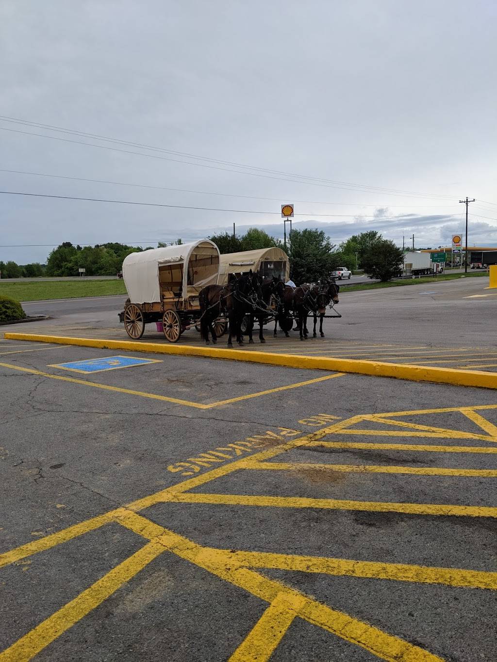 Pilot Travel Center | restaurant | 9211 Lewisburg Hwy, Cornersville, TN 37047, USA | 9313633290 OR +1 931-363-3290