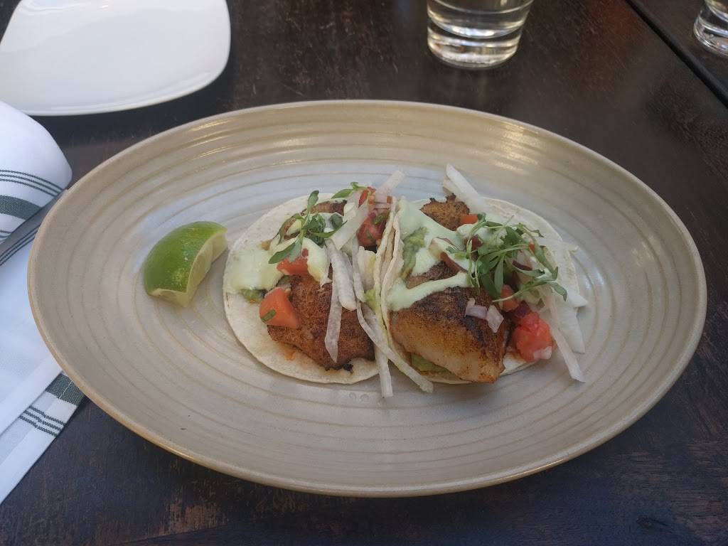 Palm House | restaurant | 2032 Union St, San Francisco, CA 94123, USA | 4154004355 OR +1 415-400-4355