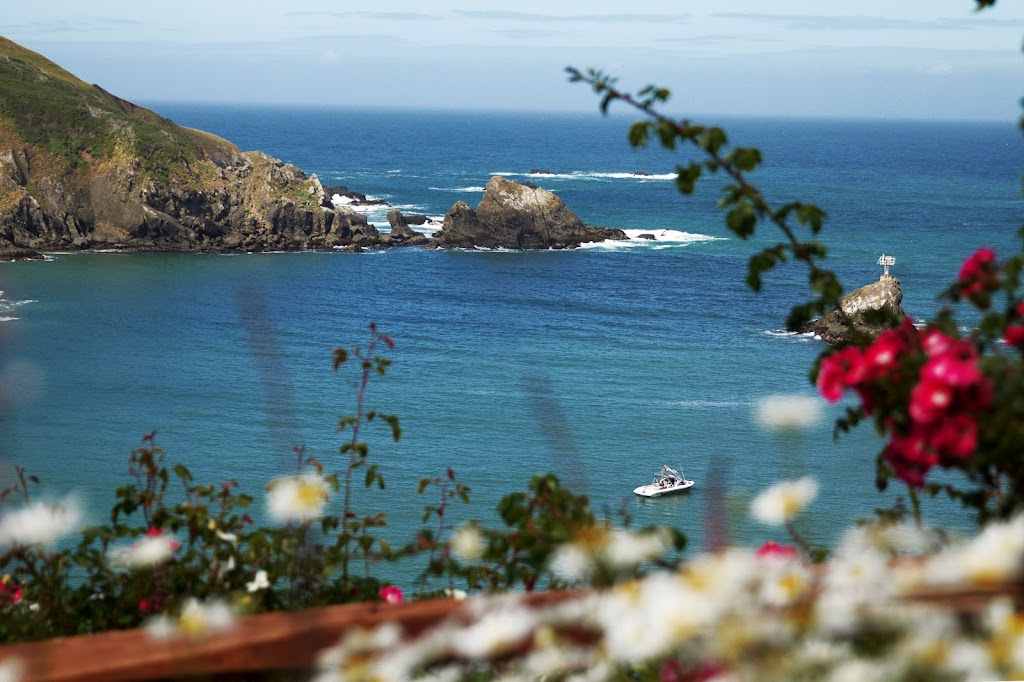 Albion River Inn Restaurant | restaurant | 3790 CA-1, Albion, CA 95410, USA | 7079371919 OR +1 707-937-1919