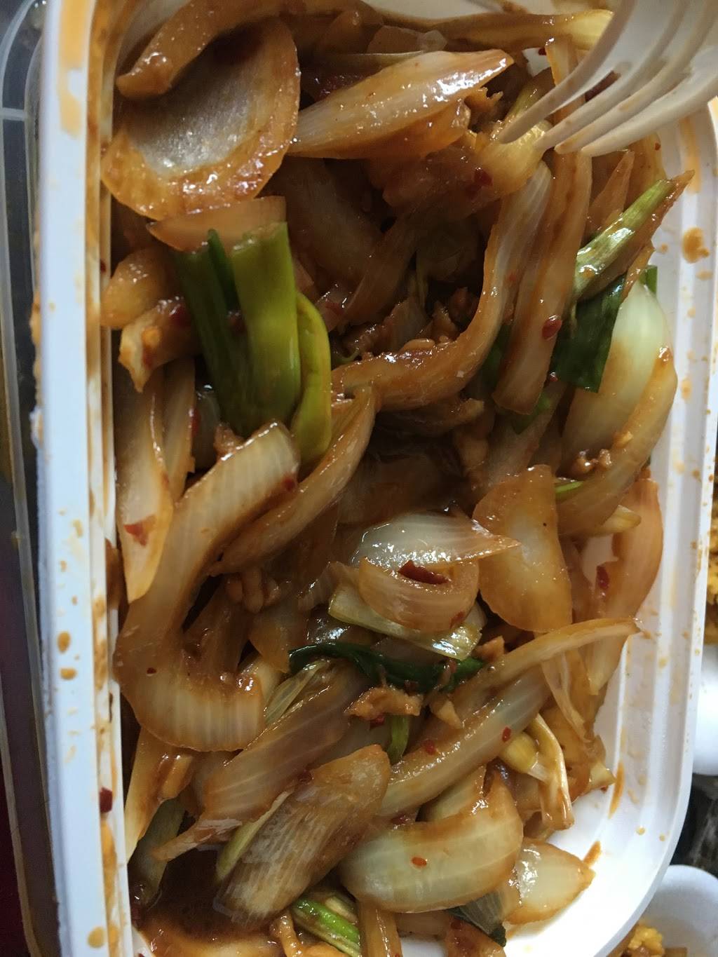 China 1 | restaurant | 2535 N Dale Mabry Hwy, Tampa, FL 33607, USA | 8138758881 OR +1 813-875-8881