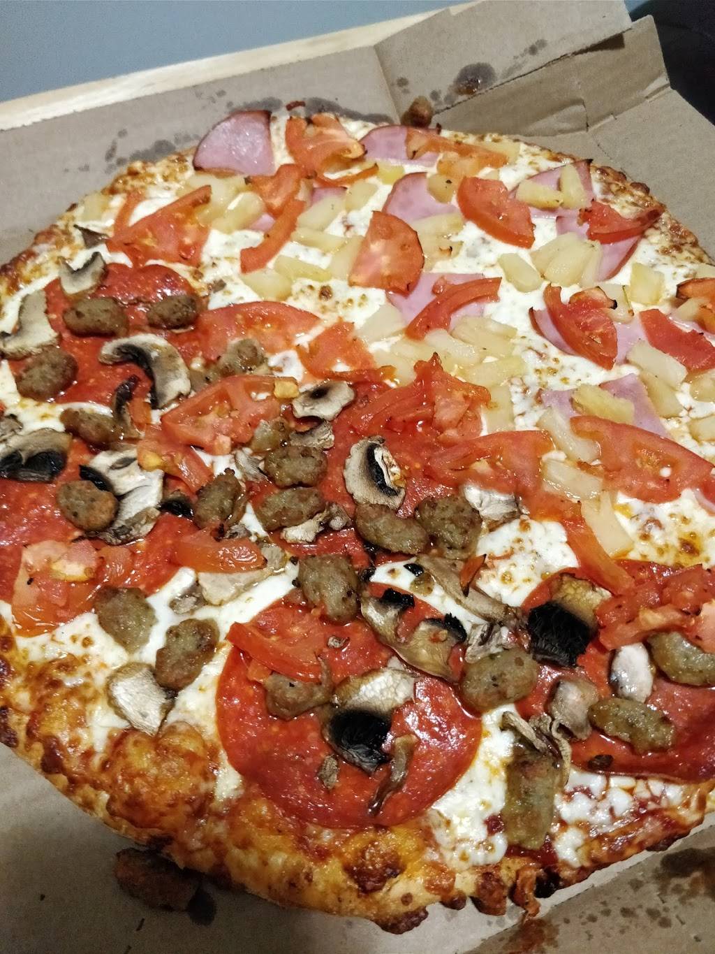 Dominos Pizza | meal delivery | 222 Finch Ave W Unit 109/110, North York, ON M2R 1M6, Canada | 4162211600 OR +1 416-221-1600