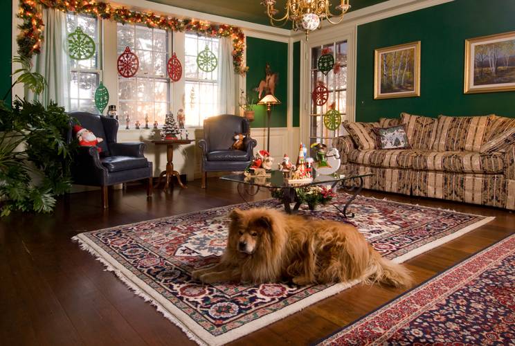 Clamber Hill Inn & Restaurant | restaurant | 111 N Main St, Petersham, MA 01366, USA | 9787248800 OR +1 978-724-8800