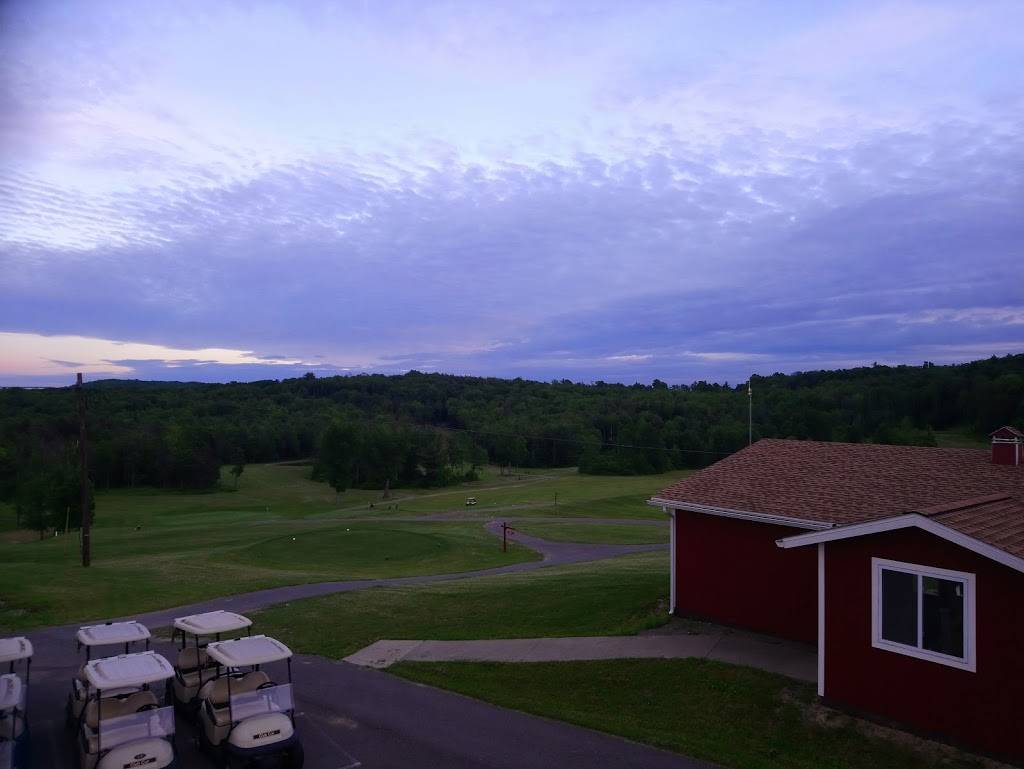 Pheasant Hill Country Club | restaurant | 2771 Waits Rd #6333, Owego, NY 13827, USA | 6076870722 OR +1 607-687-0722