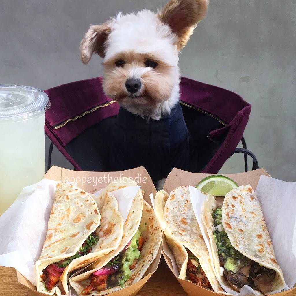 Loqui | restaurant | 8830 Washington Blvd #104, Culver City, CA 90232, USA | 3102207260 OR +1 310-220-7260