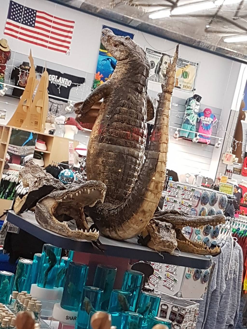 Subway | restaurant | 12390 FL-535, Orlando, FL 32836, USA | 4072398333 OR +1 407-239-8333