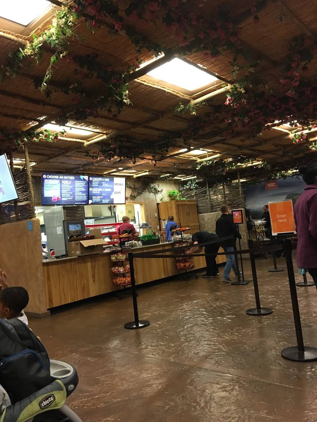 Noahs Cafe | restaurant | Creation Museum, 2800 Bullittsburg Church Rd, Petersburg, KY 41080, USA | 8007212298 OR +1 800-721-2298