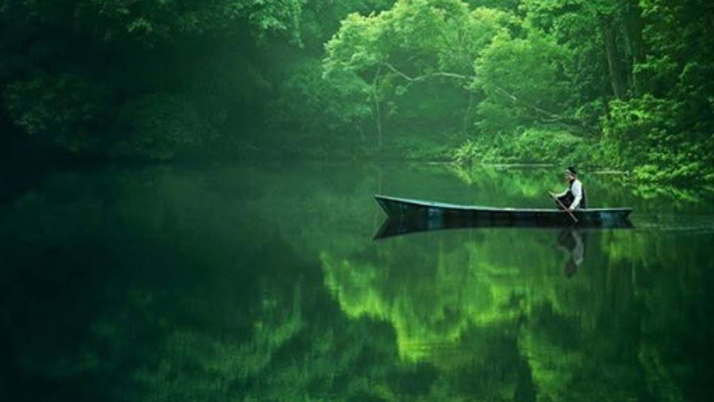 Food Land Minimart | restaurant | 168 Park Ave E, Mansfield, OH 44902, USA | 4195710906 OR +1 419-571-0906