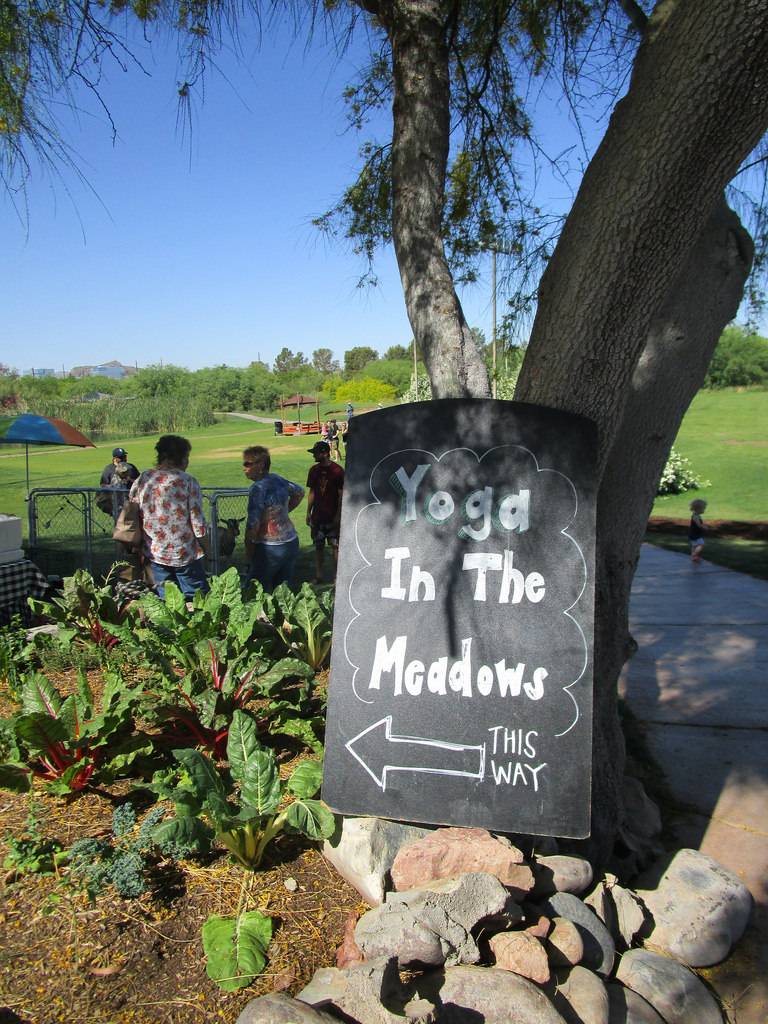 Tempe Meadows | restaurant | 1490 E Weber Dr, Tempe, AZ 85281, USA | 4809993424 OR +1 480-999-3424