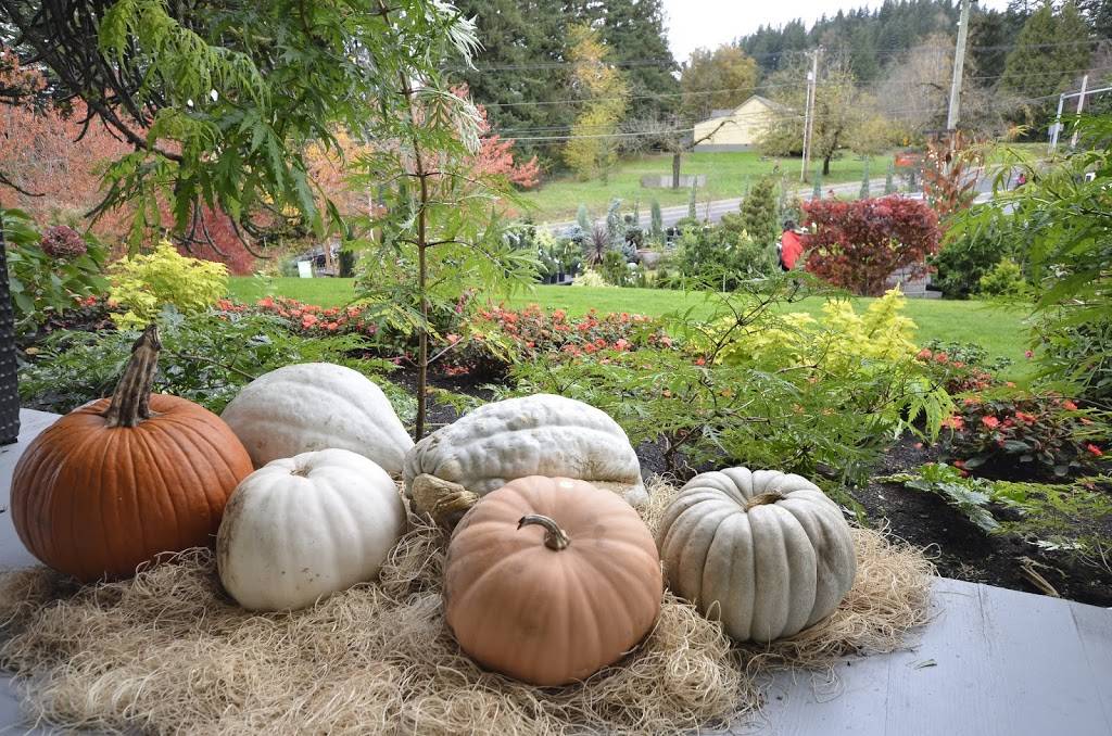 Cornell Farm | restaurant | 8212 SW Barnes Rd, Portland, OR 97225, USA | 5032929895 OR +1 503-292-9895