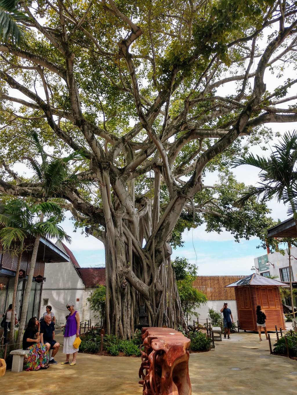 Amazonica | restaurant | 5030 NE 2nd Ave, Miami, FL 33137, USA | 3053366198 OR +1 305-336-6198