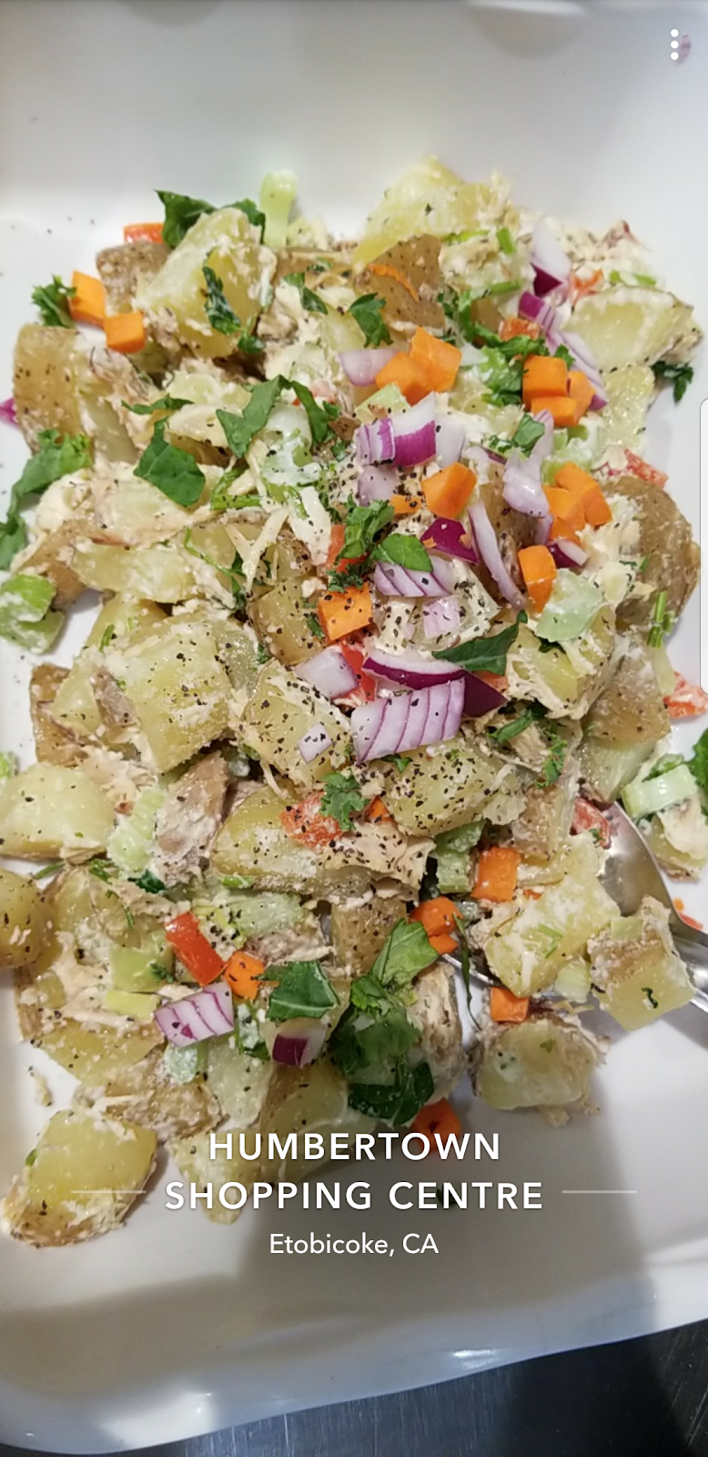 Pasta Gourmet | restaurant | 270 The Kingsway, Etobicoke, ON M9A 3T7, Canada | 4162070212 OR +1 416-207-0212