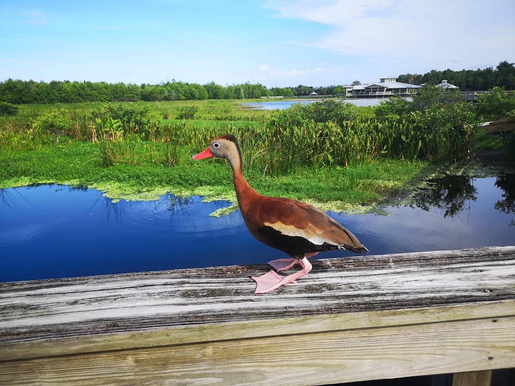 Westchester Country Club | restaurant | 12250 Westchester Club Dr, Boynton Beach, FL 33437, USA | 5617346300 OR +1 561-734-6300