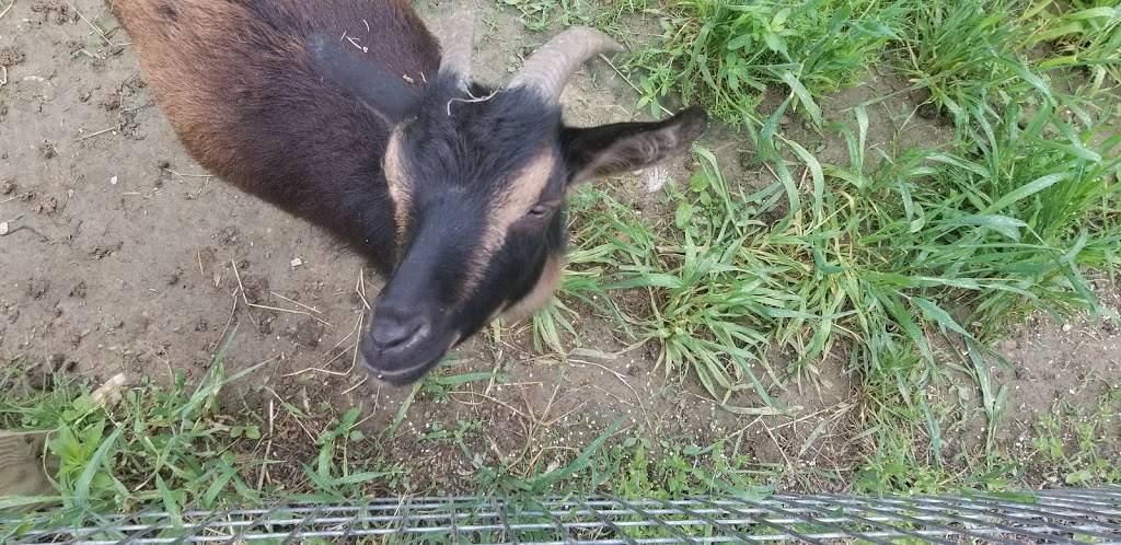 Spring Meadow Station | restaurant | 15513 Hanover Pike, Upperco, MD 21155, USA | 4108337826 OR +1 410-833-7826